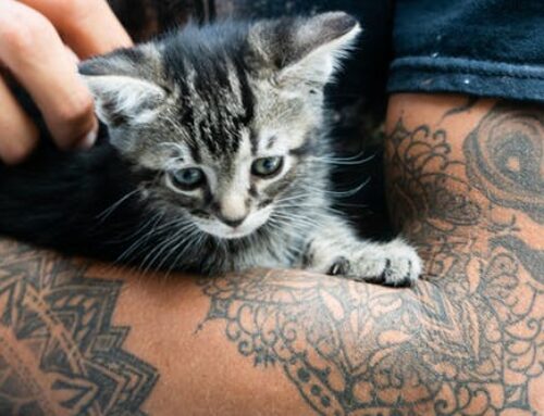 Surprising Health Advantages of Getting a Tattoo