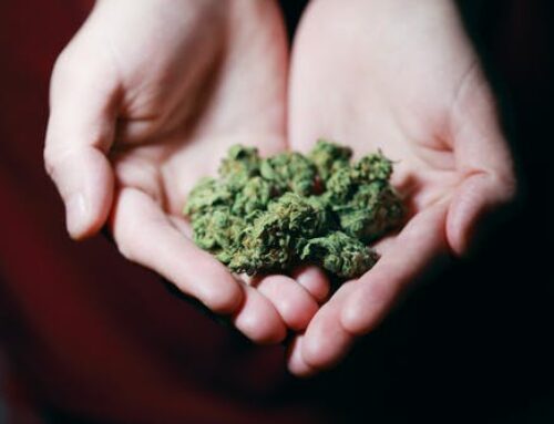 Top 7 Advantages of Cannabis